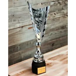 Chester Inline Skating Silver Trophy