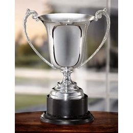 Sussex Silver Plated Metal Cup