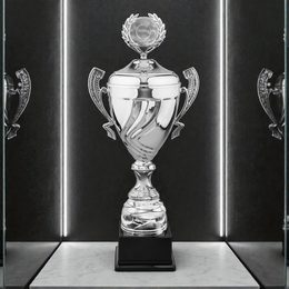 Raffles Silver Logo Cup with Lid