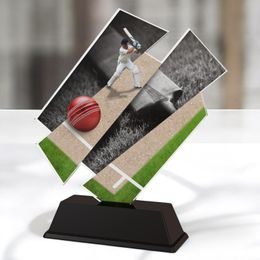 Paris Cricket Trophy