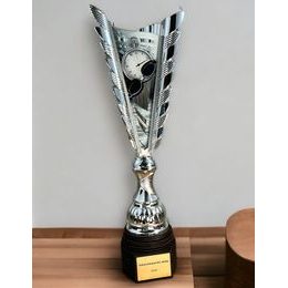 Chester Swimming Silver Trophy
