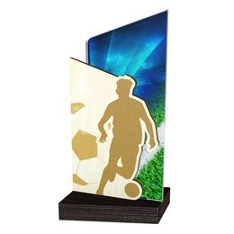 Fusion Football Trophy