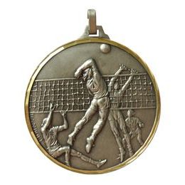 Diamond Edged Volleyball Silver Medal