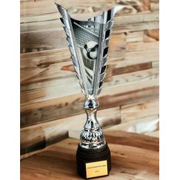 Chester Volleyball Silver Trophy
