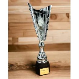 Chester Softball Silver Trophy