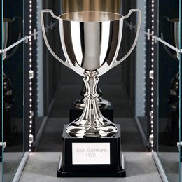 Harrington Silver Nickel Plated Cup