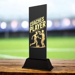 Shadowline Football Coach's Player Trophy – Stainless Steel Award