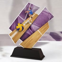 Paris Female Volleyball Trophy