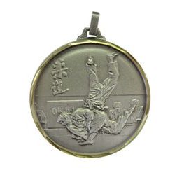 Diamond Edged Judo Sensei Silver Medal