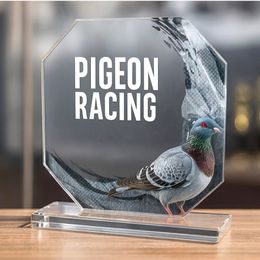 Hutton Pigeon Glass Award