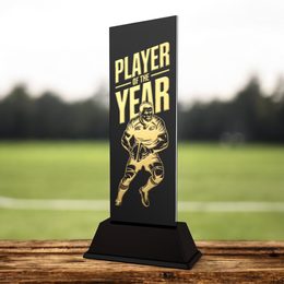 Shadowline Rugby Player of the Year Trophy – Stainless Steel Award
