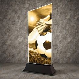 Peak Football Trophy