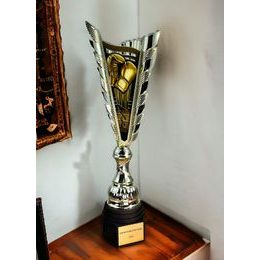 Chester Boxing Gold Trophy