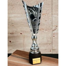 Chester American Football Silver Trophy