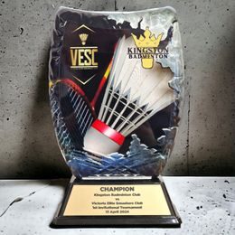 Morse Custom Made Acrylic Award