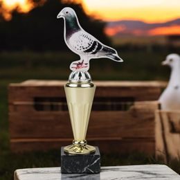 Capri Pigeon Trophy