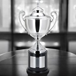 Nardello Silver Plated Championship Cup