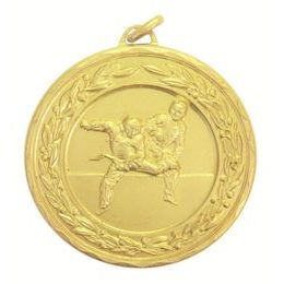 Laurel Taekwondo Gold Medal