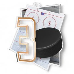 Poznan Ice Hockey Number 3 Medal