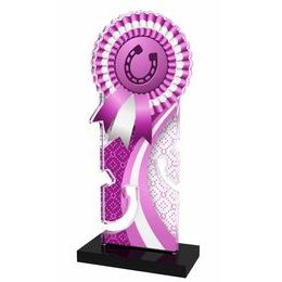 Pegasus Pink Horseshoe Rosette Trophy