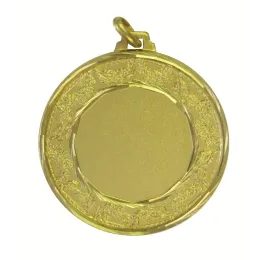 Earth Logo Insert Gold Brass Medal