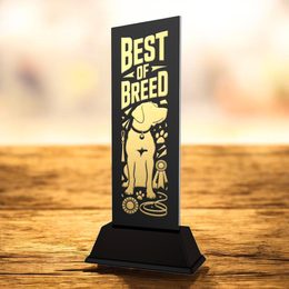 Shadowline Best of Breed Dog Trophy – Stainless Steel Award