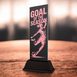 Shadowline Football Female Goal of the Season Trophy – Stainless Steel Award