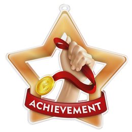 Achievement Mini Star Bronze Medal
