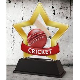 Mini Star Cricket Trophy