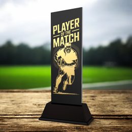 Shadowline Rugby Player of the Match Trophy – Stainless Steel Award