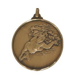 Diamond Edged Swimming Female Front Crawl Stroke Bronze Medal