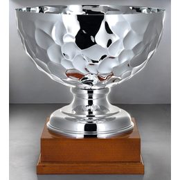 Graziani Silver Bowl Award