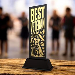 Shadowline Best Veteran Dog Trophy – Stainless Steel Award