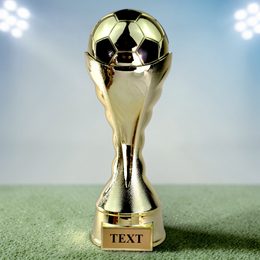 Golden Summit Heavyweight Football Trophy