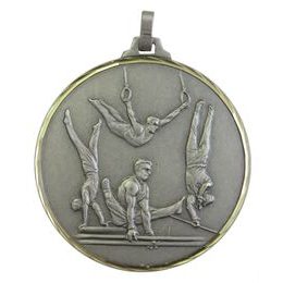 Diamond Edged Male Gymnastics Events Silver Medal