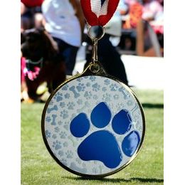 Hercules Texture Print Dog Paw Medal