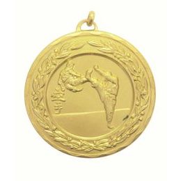 Laurel Karate Gold Medal