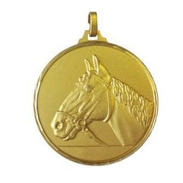 Diamond Edged Equestrian Horse Head Gold Medal