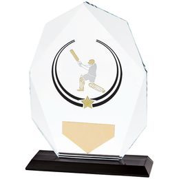 Glacier Hand Painted Glass Cricket Trophy