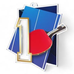 Poznan Table Tennis Number 1 Medal