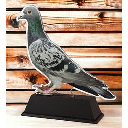 Ostrava Pigeon Trophy