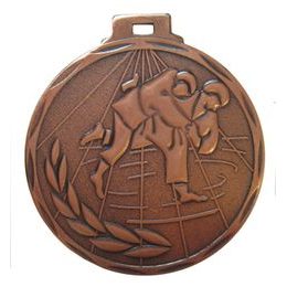 Economy Judo Bronze Medal