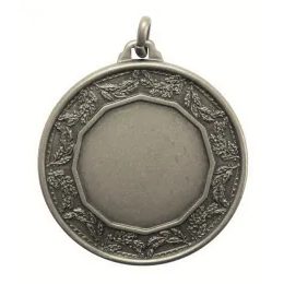 Earth Logo Insert Silver Brass Medal