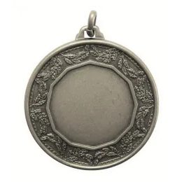 Earth Logo Insert Silver Brass Medal