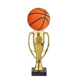 Verona Basketball Trophy