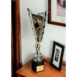 Chester American Football Gold Trophy
