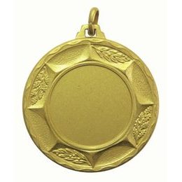 Karst Logo Insert Gold Brass Medal