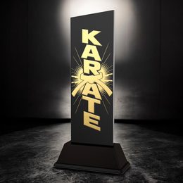 Shadowline Karate Trophy – Stainless Steel Award