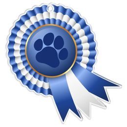 Paw Print Rosette Blue Medal