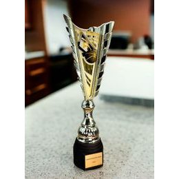 Chester Basketball Gold Trophy